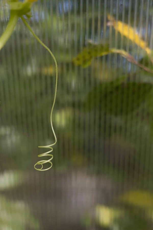 Comment adapter son entraînement cycliste en cas d'hypertension artérielle?